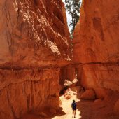  Bryce Canyon